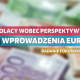 Brak dostatecznej wiedzy połączony z utratą zaufania do państwa – to główne powody, dla których Polacy przyznają się do niepokoju wobec perspektywy przyjęcia euro.