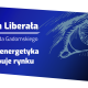 Energetyka w Polsce jest niemal całkowicie kontrolowana przez państwo, a proces jej urynkowienia, który trwał przez pierwsze lata transformacji, został zatrzymany. Widać to w hurtowych cenach prądu.