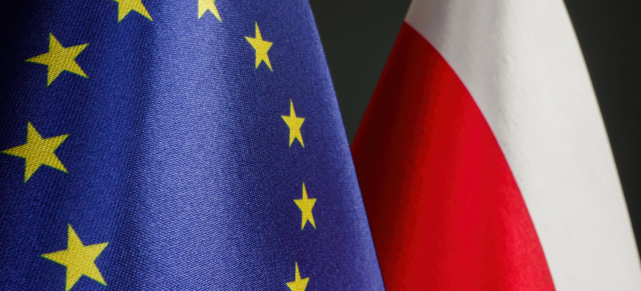 Mija miesiąc od rozpoczęcia polskiej prezydencji w Radzie UE. Jako Fundacja Wolności Gospodarczej rekomendujemy, jak właściwie wykorzystać ten czas, by był jak najbardziej owocny –  nie tylko dla Polski, ale także całej UE. 